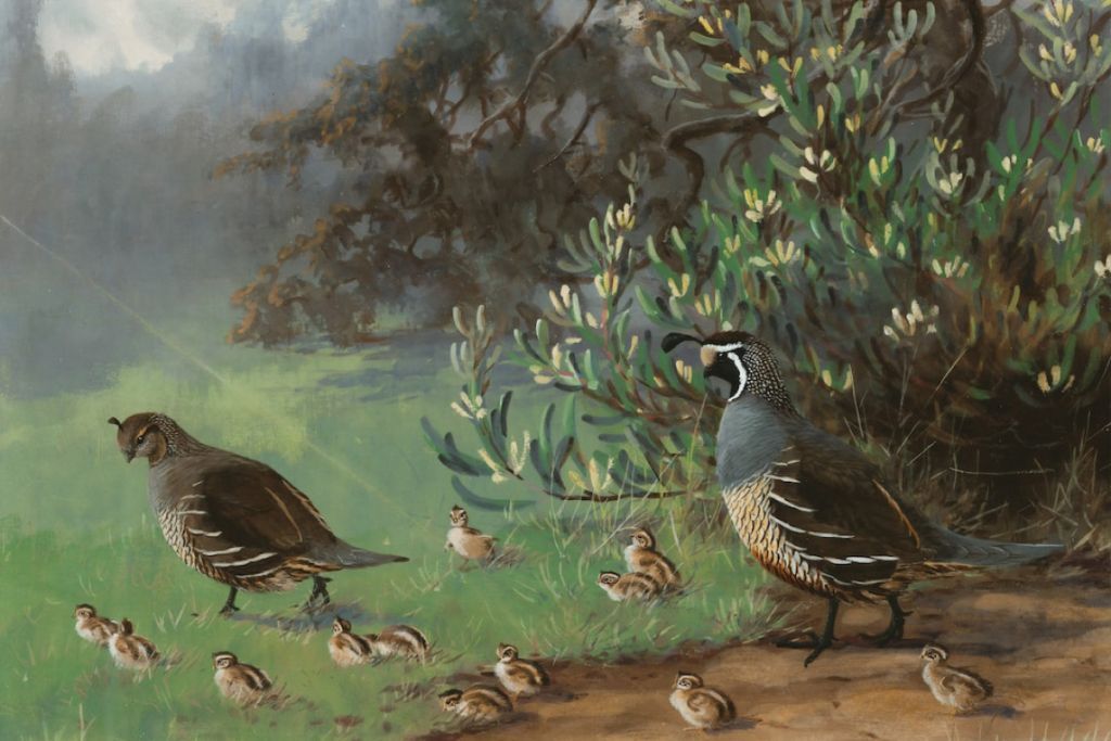 Débloquez votre créativité avec la peinture à l'huile
